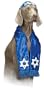 Pet Shalom Dog Halloween Costume For Small Dogs