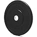 OneFitWonder OFW Bumper Plates - 15lb (Pair)