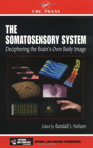 The Somatosensory System: Deciphering the Brain's Own Body Image (Frontiers in Neuroscience) The Somatosensory System: Deciphering the Brain's Own Body Image (Frontiers in Neuroscience)