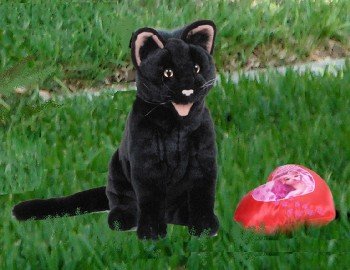 Childrens Toyshop  Toys : Cat (black) 15in Animal Puppet (P8071M)