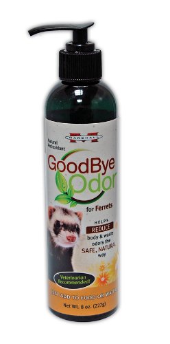 ferret supplies