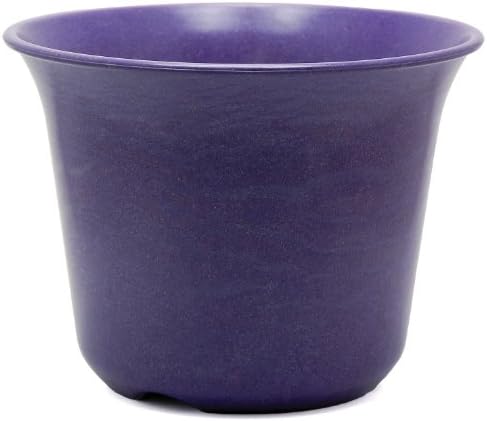 Rosso's International P29-15 Large Eggplant Contempo Planter