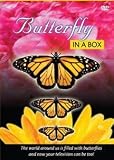 Butterfly in a Box