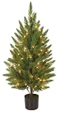GKI Bethlehem Lighting 70 Clear Mini Light 4-Foot Potted Cypress Tree