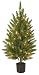 GKI Bethlehem Lighting 70 Clear Mini Light 4-Foot Potted Cypress Tree