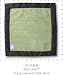 SwaddleDesigns Baby Lovie-Green Fuzzy Blanket Brown Satin Trim