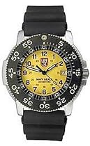 Luminox 3105 (Unisex Watch) : Multi-Jewel Swiss Quartz Movement