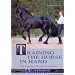 Training the Horse in Hand: The Classical Iberian Principles