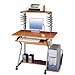 Mobile Rolling Computer Desk with CD/DVD Holder and Printer Stand