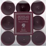 Archipelago Botanicals Excursion Collection Tea Lights Belize ( Discontinued )