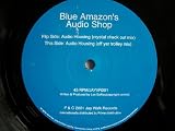 BLUE AMAZONS AUDIO SHOP Audio Housing 12"