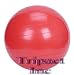 Seen on TV Exercise Burst Resistant Fitness Ball 55cm Yoga Stability Gym