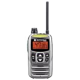 MOTOROLA　モトローラ ＭＳ80（Ｓ）　シルバー 特定小電力トランシーバー アルカリ乾電池対応モデル