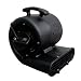 Aviditi AP110006 3800 CFM Carpet Dryer