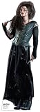 418TzE9MGaL. SL160  Harry Potter and the Deathly Hallows Part 2 (S1) Minicell Film Cell