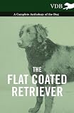 The Flat Coated Retriever - A Complete Anthology of the Dog