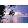Tropical Sunset (Palm Trees Over Water) Art Poster Print - 36x24