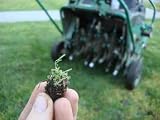 Lawn Aeration - 36W x 27H - Peel and Stick Wall Decal by Wallmonkeys