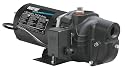 Wayne SWS100 1-Horsepower Cast Iron Shallow Well Jet Pump