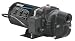 Wayne SWS100 1-Horsepower Cast Iron Shallow Well Jet Pump
