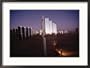 800 Mirror-Winged Solar Panels Convert Even the Last Rays of the Day Directly into Electricity National Geographic Collection Framed Photographic Poster Print by Jim Sugar, 29x21