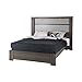 South Shore Gloria Platform Bed Gray Maple, Contemporary