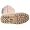 Bearpaw Women's T405 12" Boot
