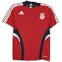 adidas Bayern Training Top 08/09