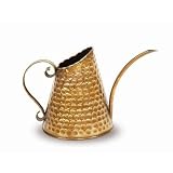 Achla Designs WC-06 Dainty Copper Watering Can
