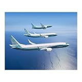 737 MAX Poster