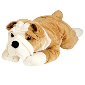 60cm  English Bulldog