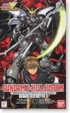 Gundam Wing OVA - Dearthscythe D-Hell Custom 1/100 Scale HG Gundam Model kit EW-5