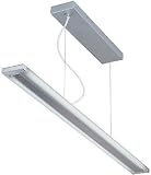 Lite Source LS-19690SIL-FRO Fluorescent Ceiling Lamp