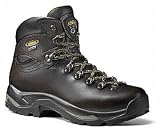 Asolo Men's TPS 520 GV Hiking Boot in Medium Width