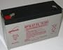 Yuasa (Enersys) Genesis NP10-6 6-Volt/10 Amp Hour Sealed Lead Acid Battery with 0.250 Fast-on Connector