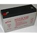 Yuasa (Enersys) Genesis NP10-6 6-Volt/10 Amp Hour Sealed Lead Acid Battery with 0.250 Fast-on Connector
