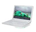 meenee MNW737 13.3 inch Laptop (White) , 1.8GHz , 320 GB hard drive , 2 GB RAM , Bluetooth , webcam, wifi, Ubuntu