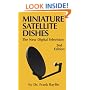 Miniature Satellites Dishes - The New Digital Television