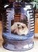 Pet Coupe Space Age Pet Carrier - for Cats or Dogs : Color BLUE