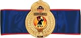MMA Old School Title Belt