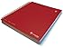 Livescribe 8.5 x 11 3-Subject Notebook #2 (Red)