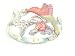 Beautiful! Yellow-gold Sterling-silver Black Hills Gold Women's Hummingbird Ring