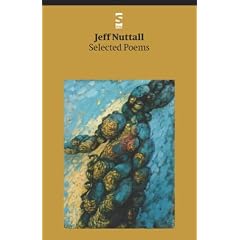 Selected Poems (Salt Modern Poets)