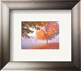 Autumn Mist Framed Art Poster Print by Mike Jones, 16x14