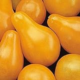 Gelbe, birnenförmige Mini-Tomate - gelbes Birnchen - yellow Pear - 10 Samen