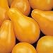 Gelbe, birnenf�rmige Mini-Tomate - gelbes Birnchen - yellow Pear - 10 Samen