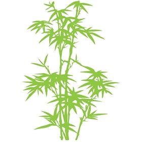 Vinyl Wall Art Decal Sticker Bamboo Tree 42"x60" Big #101