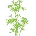 Vinyl Wall Art Decal Sticker Bamboo Tree 42"x60" Big #101