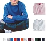 Gildan - Youth Crewneck Sweatshirt (18000B)