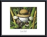 Lost Ball, Framed Art Print by Commander